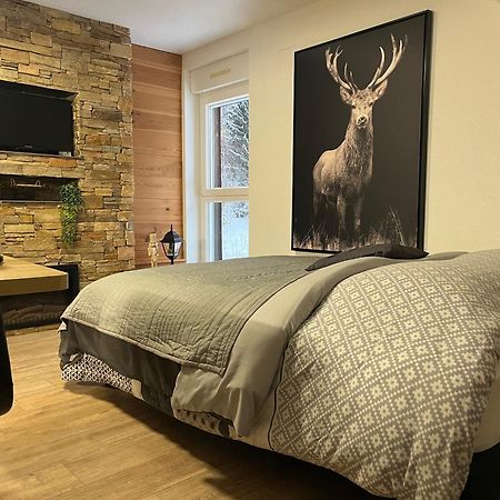 Studio Chalet Cosy Gérardmer Eksteriør bilde
